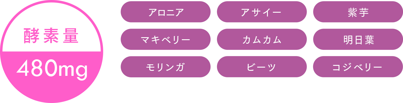 酵素量 480mg 成分:アロニア アサイー 紫芋 マキベリー カムカム 明日葉 モリンガ