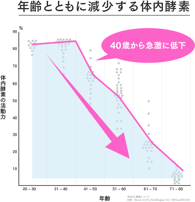 年齢とともに減少する体内酵素