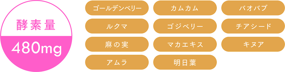 酵素量 480mg 成分：ゴールデンベリー カムカム バオバブ ルクマ ゴジベリー チアシード 麻の実 マカエキス キヌア アムラ 明日葉
